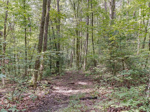 4th image of 484 Deer Lick Trl