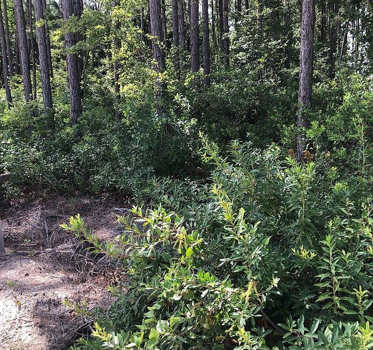 2nd image of 815 Earlie Gaskins Rd