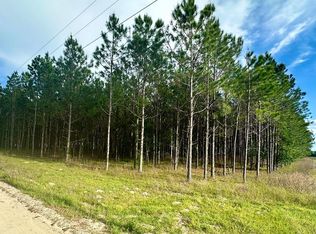 55 Southwest St, Trenton, FL 32693