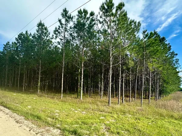SW 55th St, Trenton, FL 32693