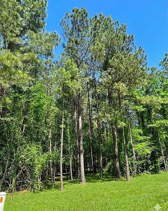 2nd image of 399 Camp Ranch Rd #91