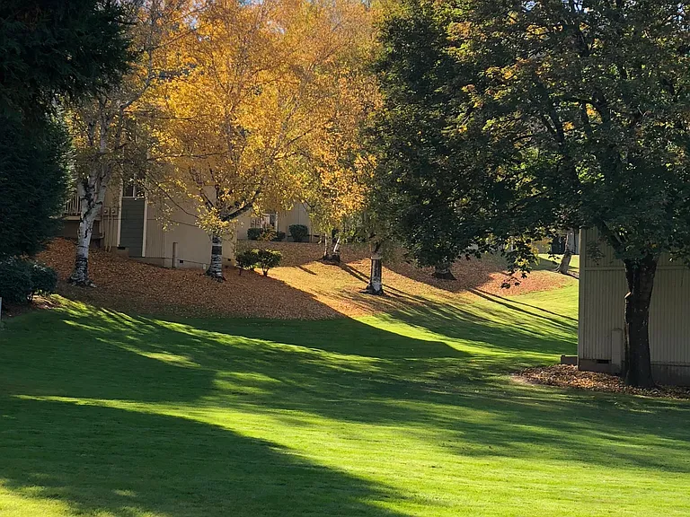 Parkside Commons — Photo 18