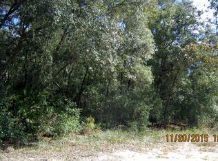 105 Hawksnest Rd, Satsuma, FL 32189