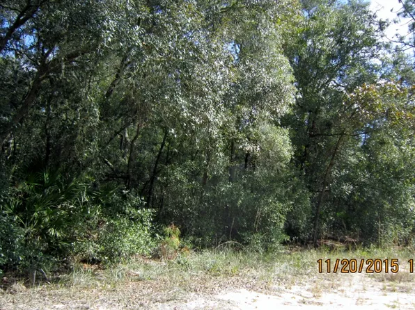 105 Hawksnest Rd, Satsuma, FL 32189