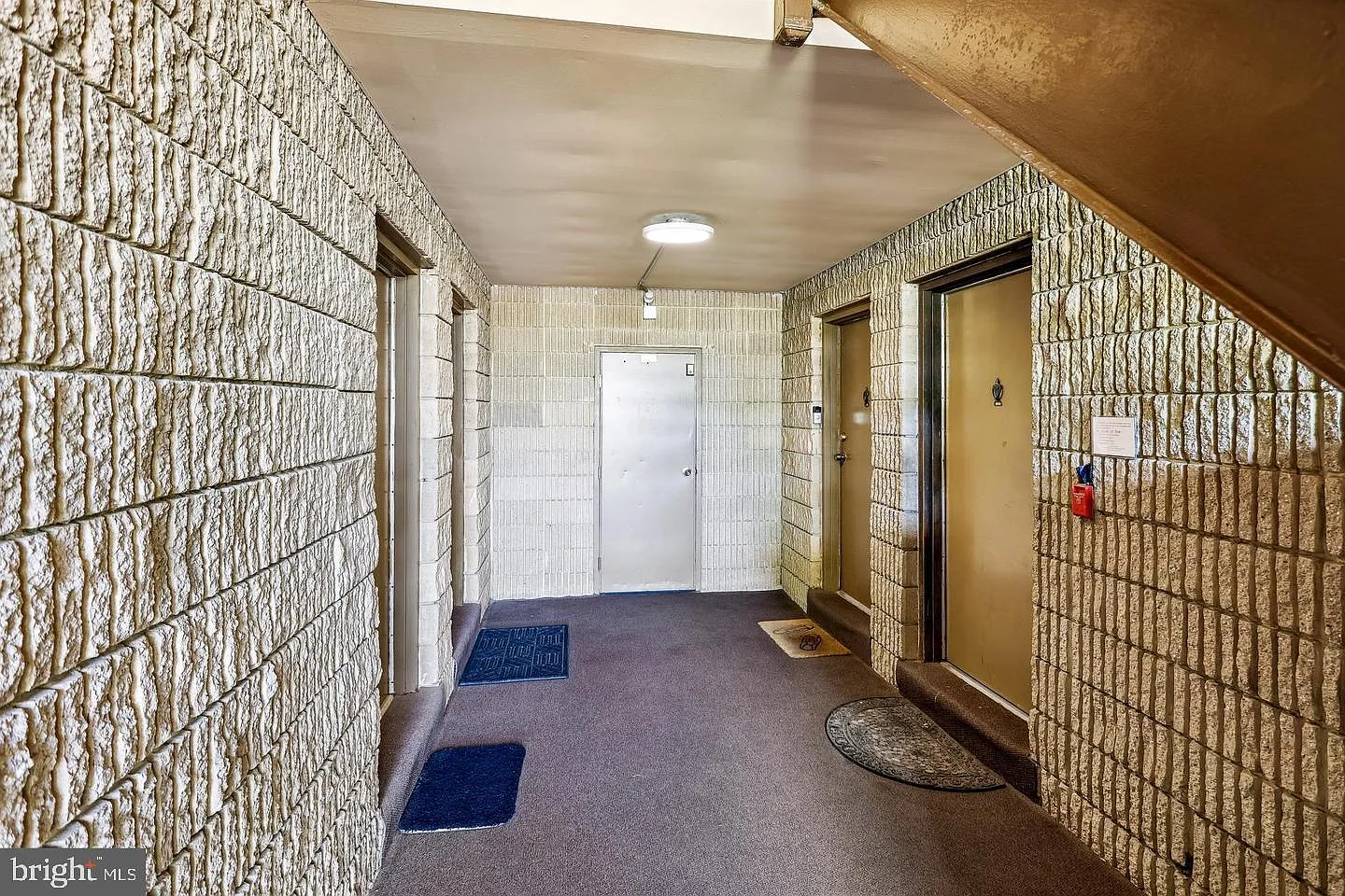2 bed, 1.0 bath, 908 sqft, $2,500 — Photo 3