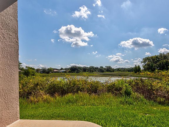 View of the marsh from the back deck