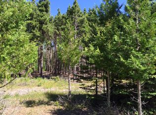 Tbd Murphy Rd, Manistique, MI 49854