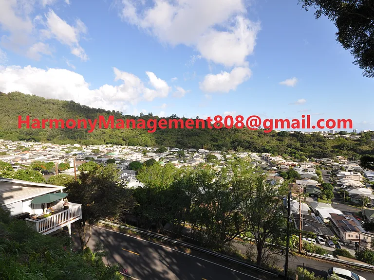 2530 Pacific Heights Rd — Photo 18