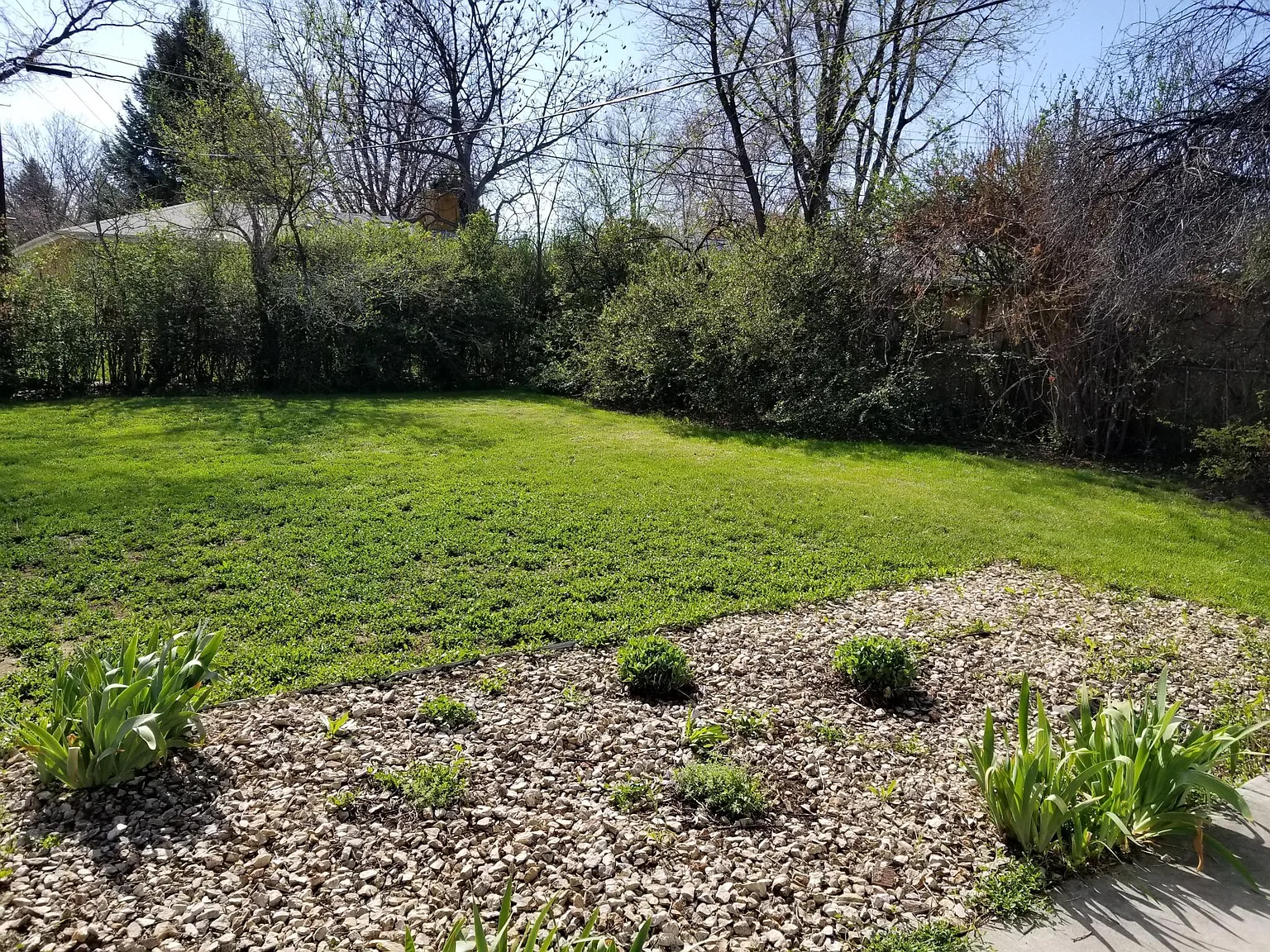 4 bed, 2200 sqft, $2,950 — Photo 4