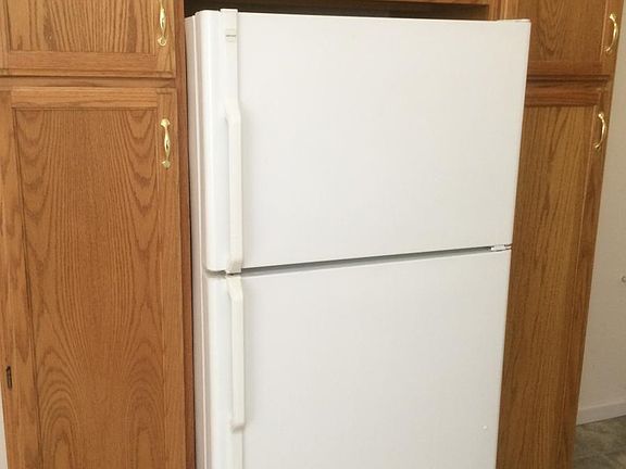 Pantry cabinets around fridge