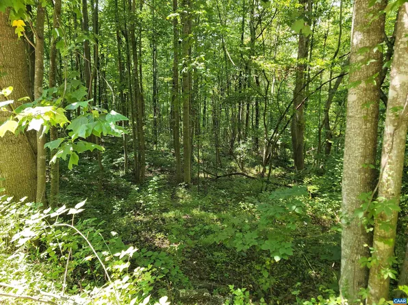 0 Wilderness Ln, Stanardsville, VA 22973