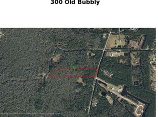 300 Old Bubbly Rd #77, Pierson, FL 32180