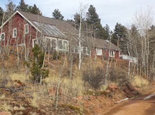 2045 Vigilante Ave, Bailey, CO 80421