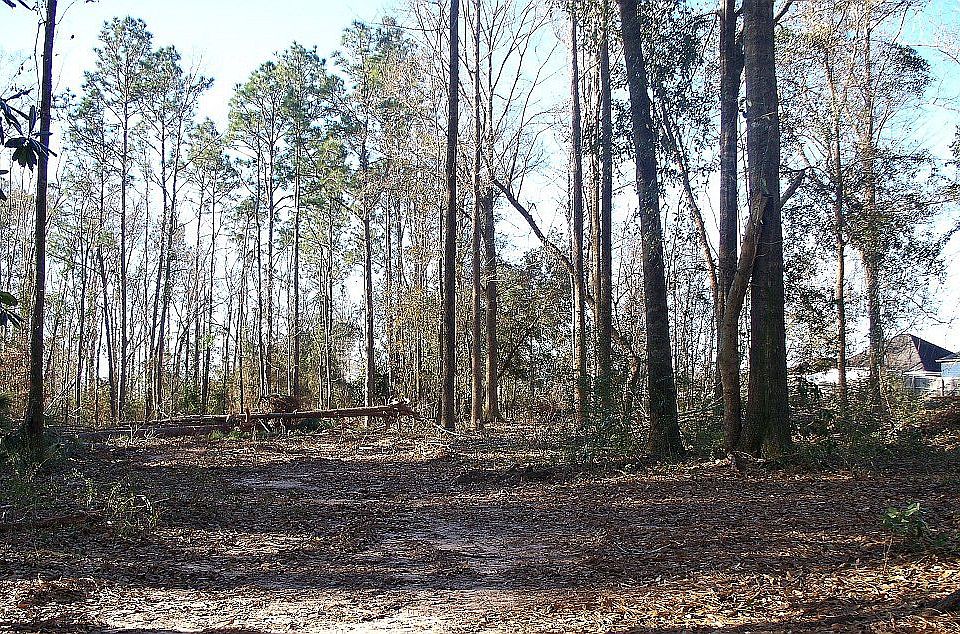 1st image of 3010 Richmond Dr