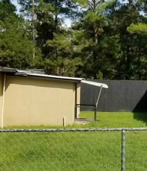 back yard