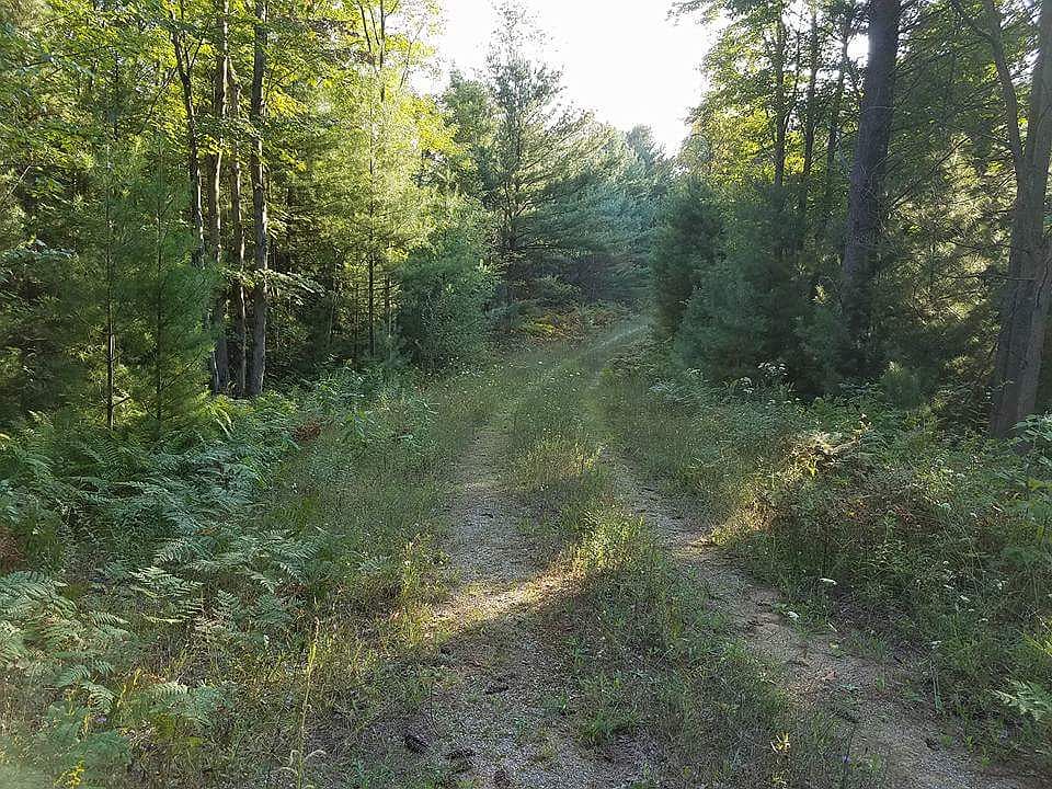 2nd image of 3225 W Duck Lake Rd