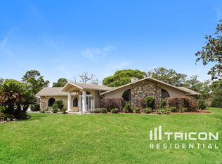 1331 Fergason Ave, Spring Hill, FL 34609