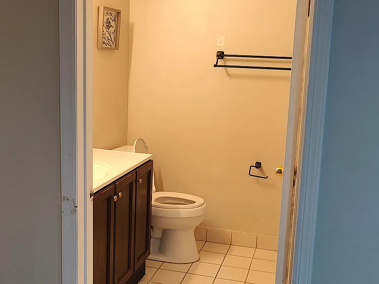 1107 Green Hollow Dr — Photo 10