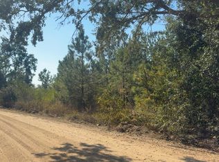 0 McLean Rd, Lumber City, GA 31549