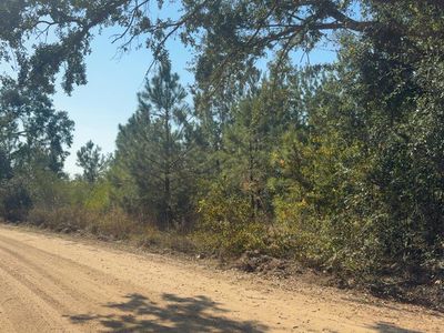 0 McLean Rd, Lumber City, GA, 31549