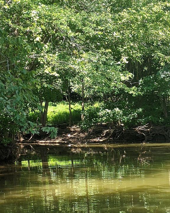 2nd image of Siloam Rd #1