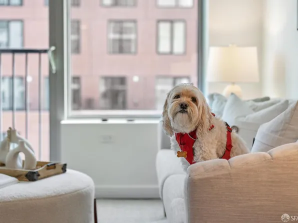 1000 3rd St #814, San Francisco, CA 94158