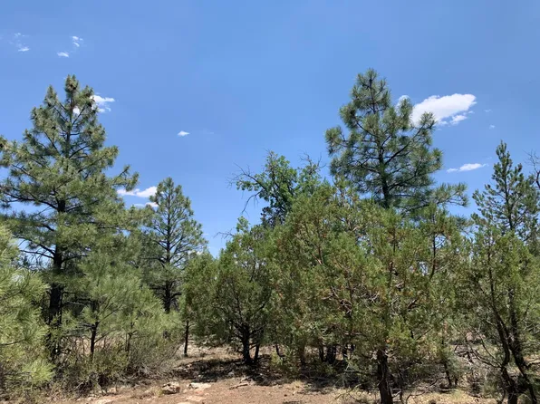 7100 Horizon Cir, Happy Jack, AZ 86024