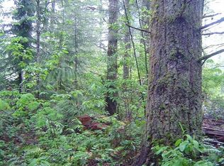 46423 Baker Loop Rd, Concrete, WA 98237