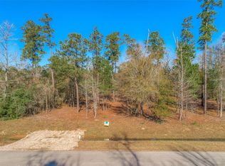 370 Skipper Ln, Montgomery, TX 77316