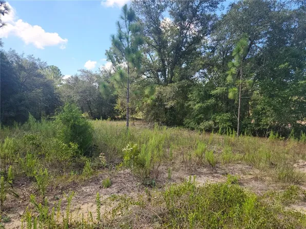 LOT 21 SW Rainbow Lakes Blvd Lot 21, Dunnellon, FL 34431