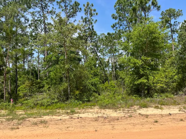 Tbd Holly Springs, Alford, FL 32420
