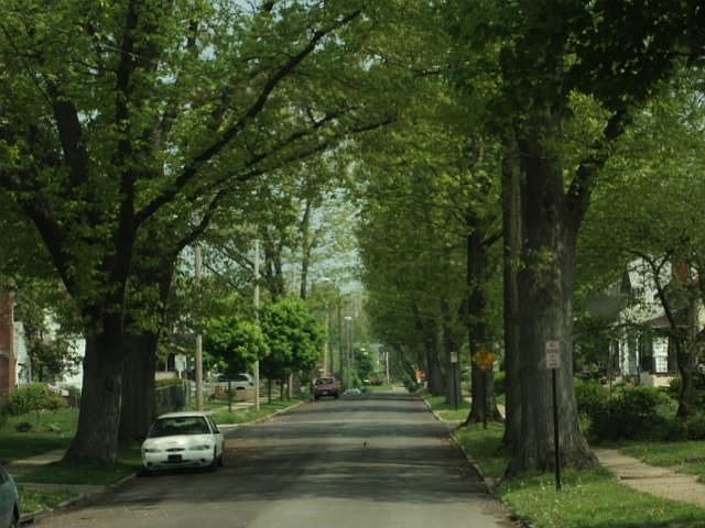 RearView