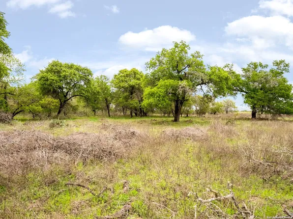1805 COUNTY ROAD 317, La Vernia, TX 78121