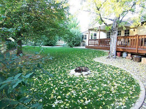 InGround Fire Pit