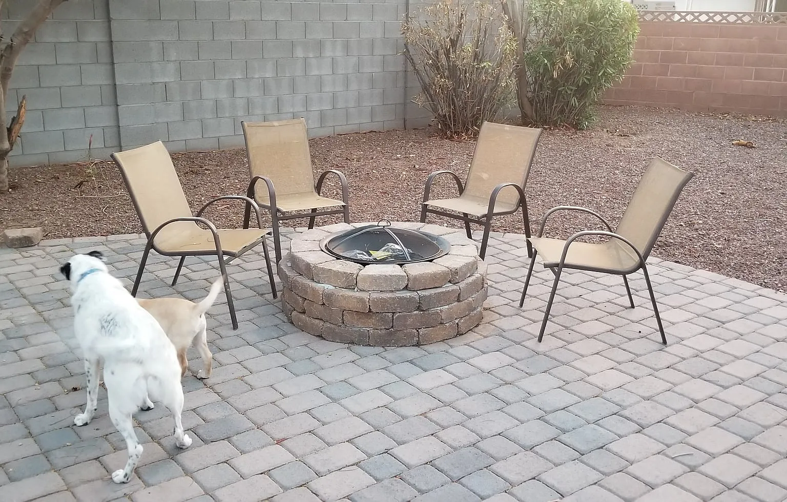 3 bed, 1578 sqft, $2,795 — Photo 3