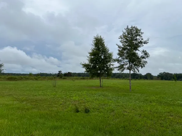 LOT 1 Central Rd, Wellborn, FL 32094
