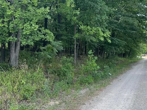 0 Maple St, Park Hills, MO 63601