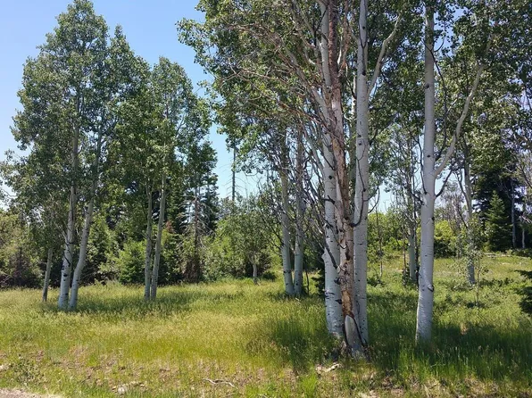 271 N Whispering Pines Rd, Virgin, UT 84779