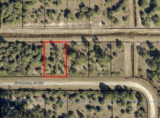 729 Spoonbill St SW, Palm Bay, FL 32908