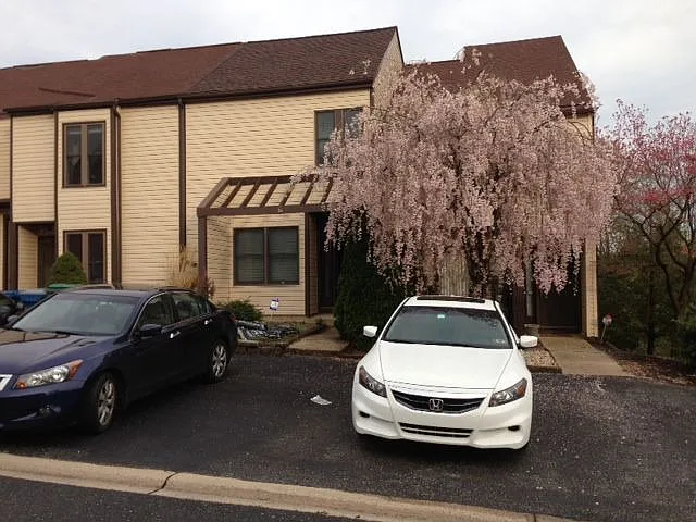 3228 Brookline Rd photo 1