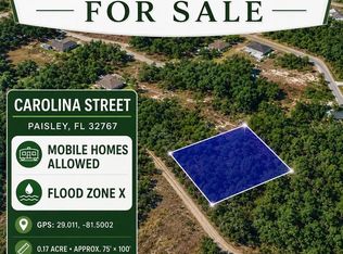 CAROLINA STREET LOT 42, PAISLEY, FL 32767