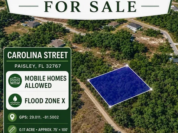 CAROLINA STREET LOT 42, PAISLEY, FL 32767
