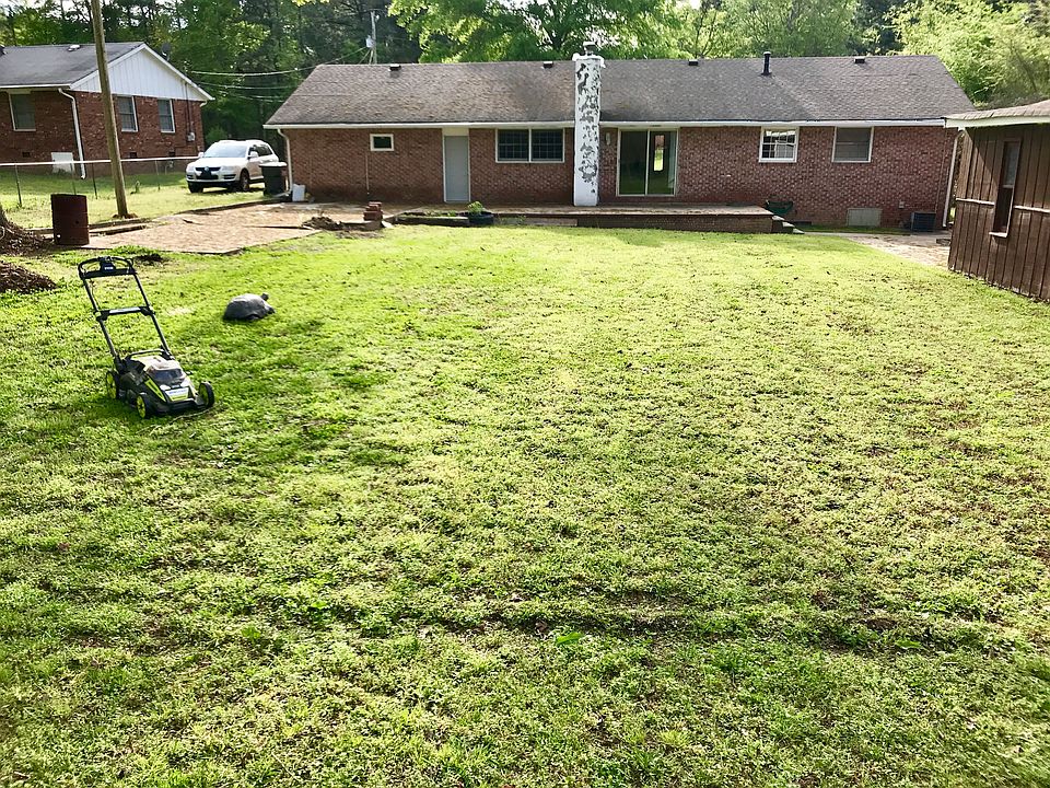 Back yard