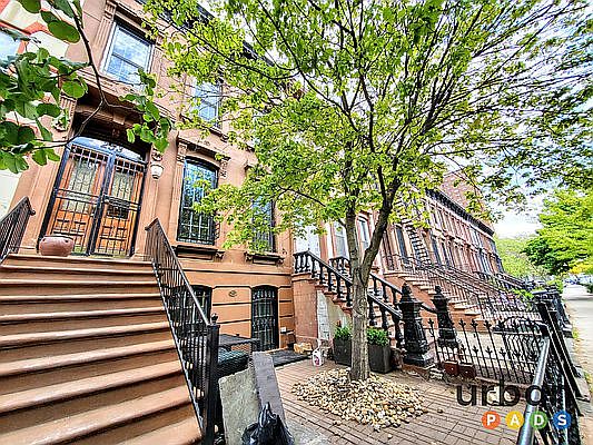 1st image of 253 Vernon Ave #2