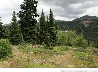 0 Quartzville Rd, Alma, CO 80420