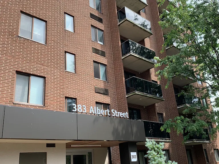 383 Albert St — Photo 10