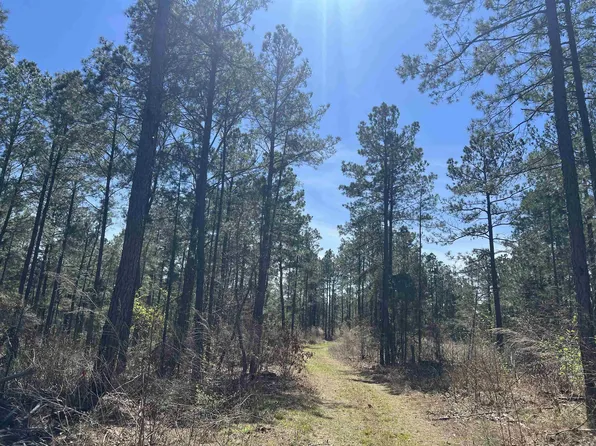 11-13-19 Ouachita Cres #183, Chidester, AR 71726