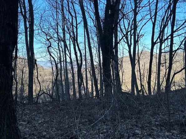 Na Pepsi Hts, Whittier, NC 28789