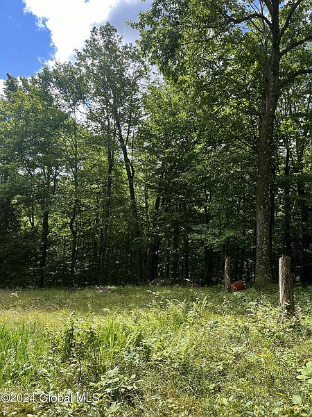 4th image of 210 Lynx Drive