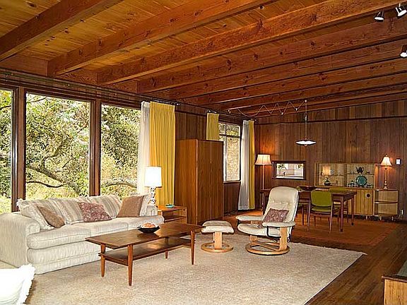 Views of the trees & canyon